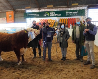 Elección de los Grandes campeones en la 74 Expo Rural de Jesús María