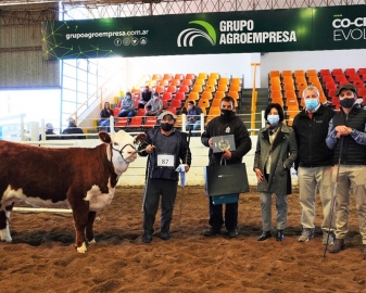 Elección de los Grandes campeones en la 74 Expo Rural de Jesús María