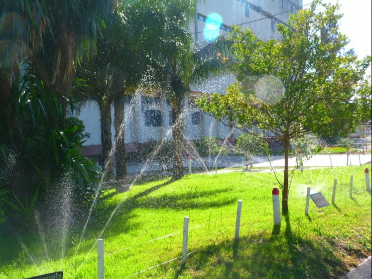 Córdoba: Agronomía se consolida como la Facultad más importante de Argentina en calidad y con 1.062 inscriptos para el ciclo 2024