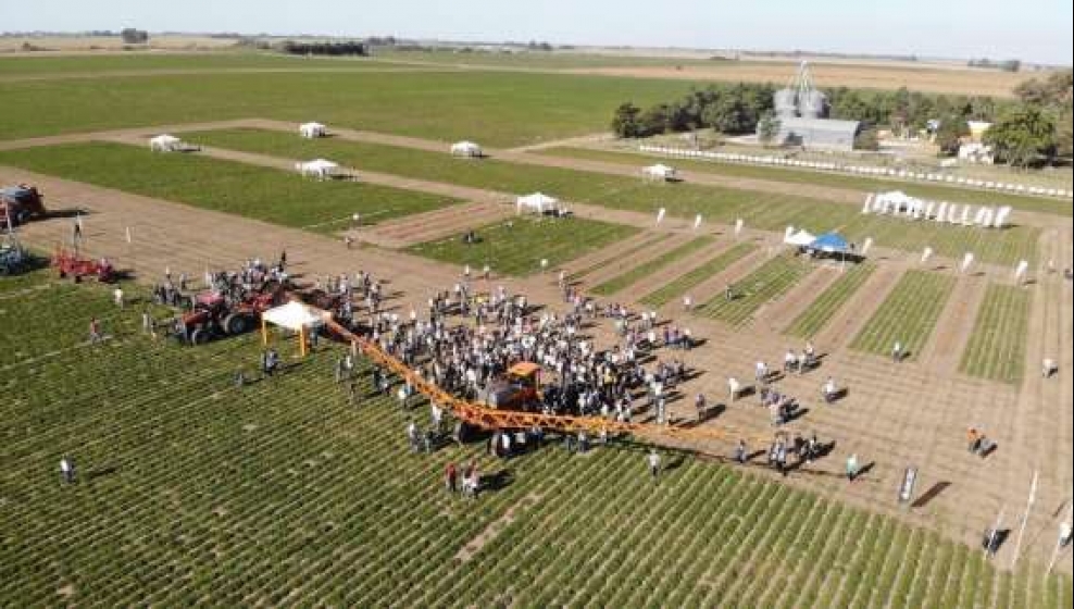9º Circuito del MANI : Un encuentro con el cultivo cordobés
