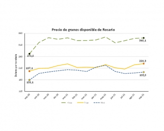 La relación insumo producto se deteriora a pesar de los mayores precios de los granos
