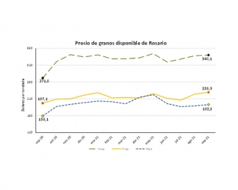 La relación insumo producto se deteriora a pesar de los mayores precios de los granos
